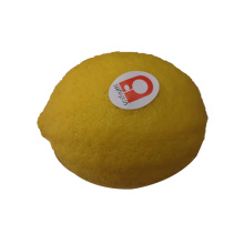 Wholesale Price High Quality Fresh Citrus Fruit Fresh Lemon For Sale